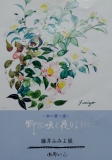 2012年「画集」出版記念個展銀座『画廊るたん」チラシ表