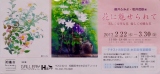 2013年「野の花」テキスト、出版記念藤井ふみよ・若井茂雄展案内
