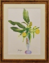 柚子と枇杷の花